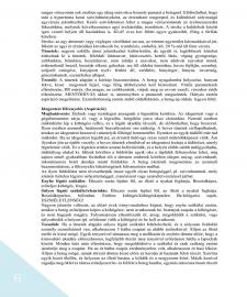 images/PROTOKOLOK/APOLASI PROTOKOLL/APOLASI PROTOKOLL_2019_vegleges_1223.jpg